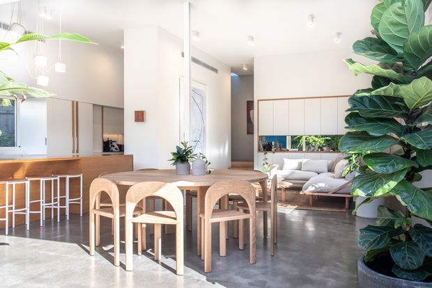 Bright open-plan residential interior featuring a dining area in the foreground, a kitchen with timber island and bar stools to the left, and a living room with a light sofa and extensive indoor planting to the right. The space has polished concrete flooring, white walls and cabinetry, timber furniture and joinery, large windows, and pendant lighting. The overall atmosphere is airy, contemporary, warm, and plant-filled.