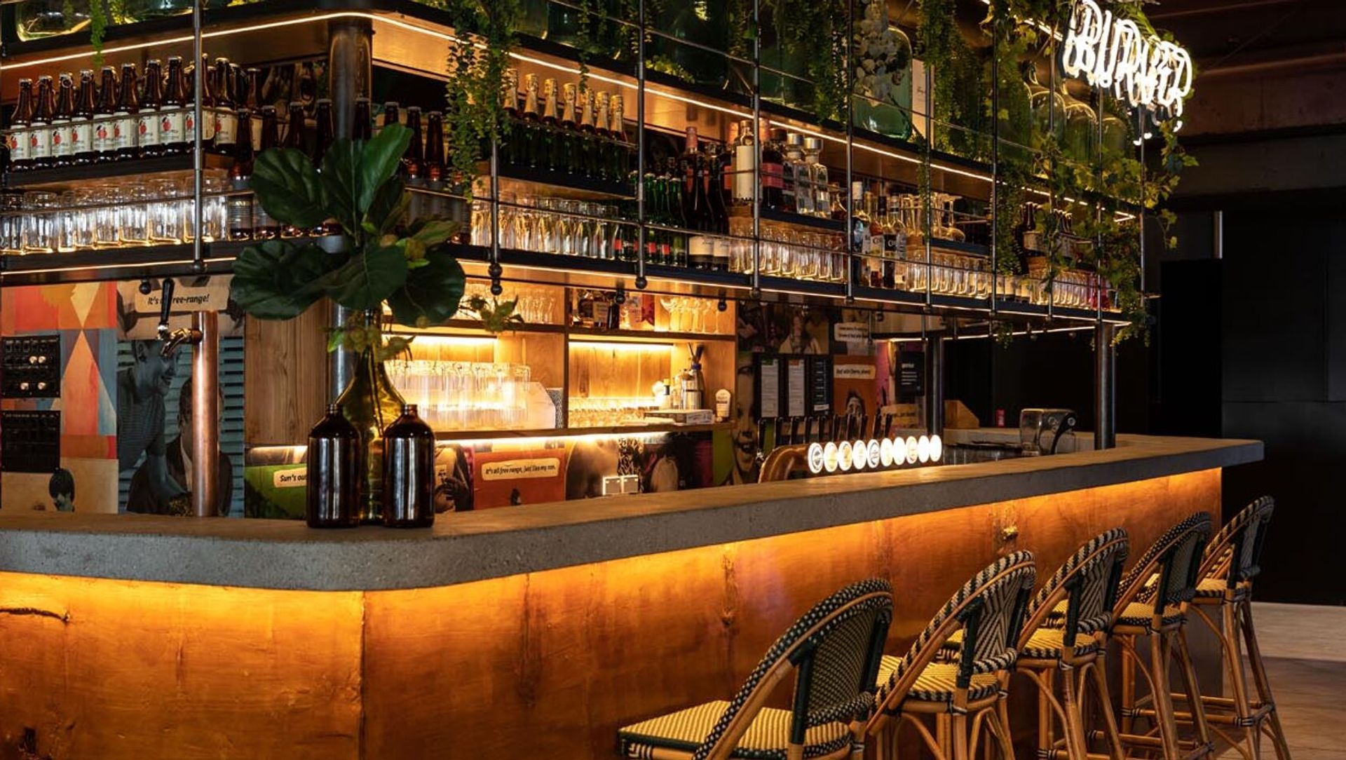 Burger Burger banner