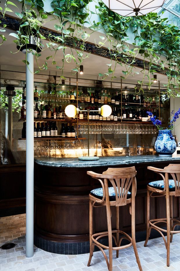A refined hospitality bar interior with a curved dark timber bar, dark stone benchtop, mirrored and glass-backed shelving filled with bottles and glassware, and timber bar stools with patterned upholstered seats. Hanging trailing plants create a lush canopy beneath a glazed or skylit ceiling, while globe pendant lights provide warm illumination. The floor is finished in light patterned masonry or stone tiles, and a blue-and-white decorative vase adds a small accent.