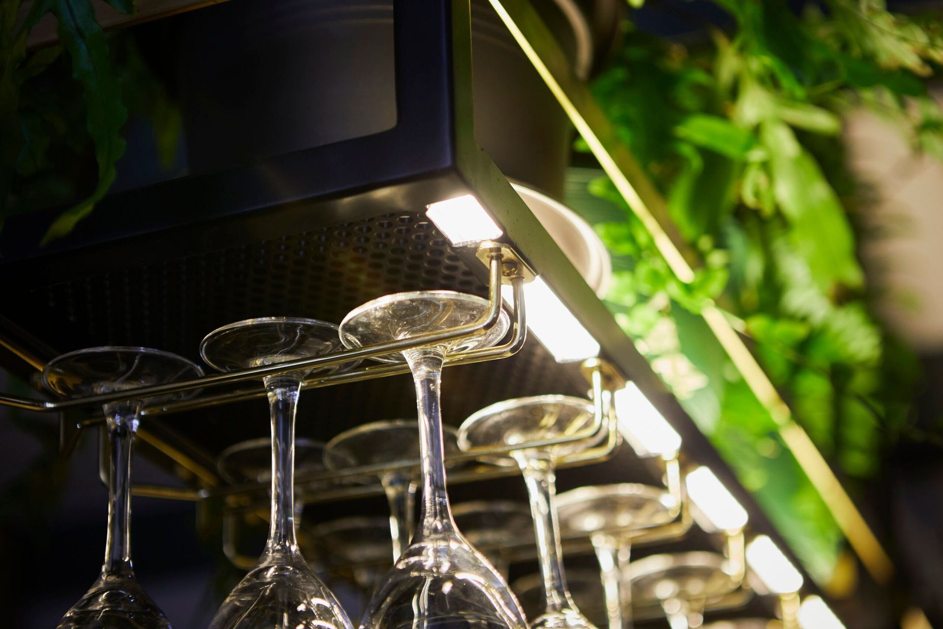 Surveyor General Inn Project