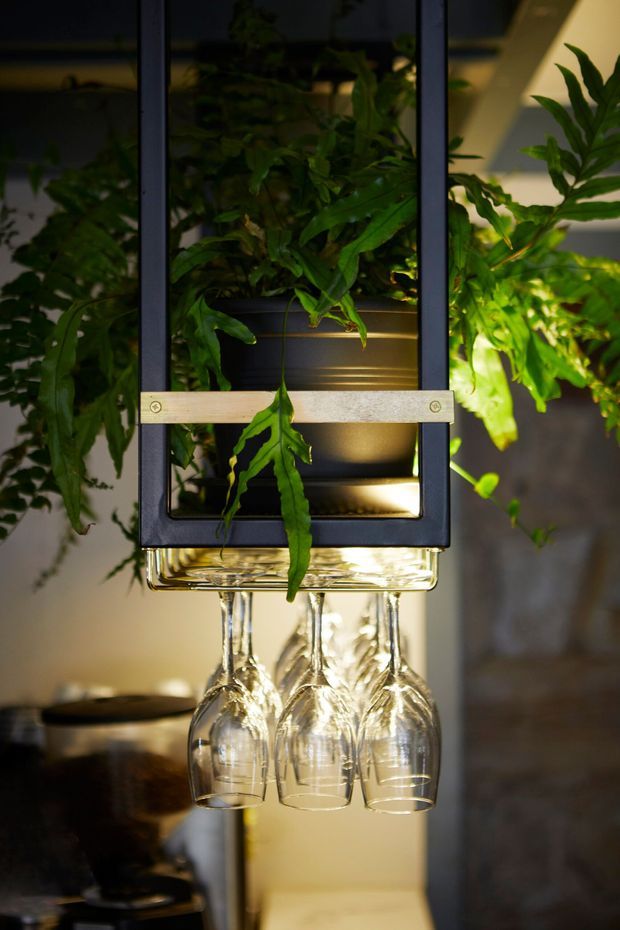 Close-up of a decorative hanging fixture combining a dark-framed illuminated planter with lush green foliage and several inverted wine glasses suspended beneath it. The warm lighting creates a dramatic, atmospheric accent within a sophisticated interior, with blurred cabinetry or shelving in the background.