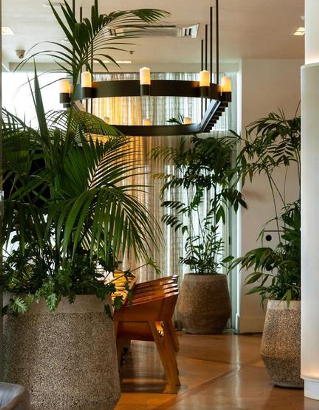 Euro Bar, Auckland Viaduct