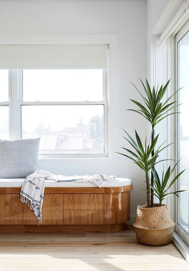 Bright, airy interior corner featuring a built-in window seat with warm wood cabinetry, a pale cushion and throw, large white-framed windows with roller blinds, and a tall potted indoor plant in a woven basket. Natural light falls across the light timber floor, creating a calm, contemporary setting.