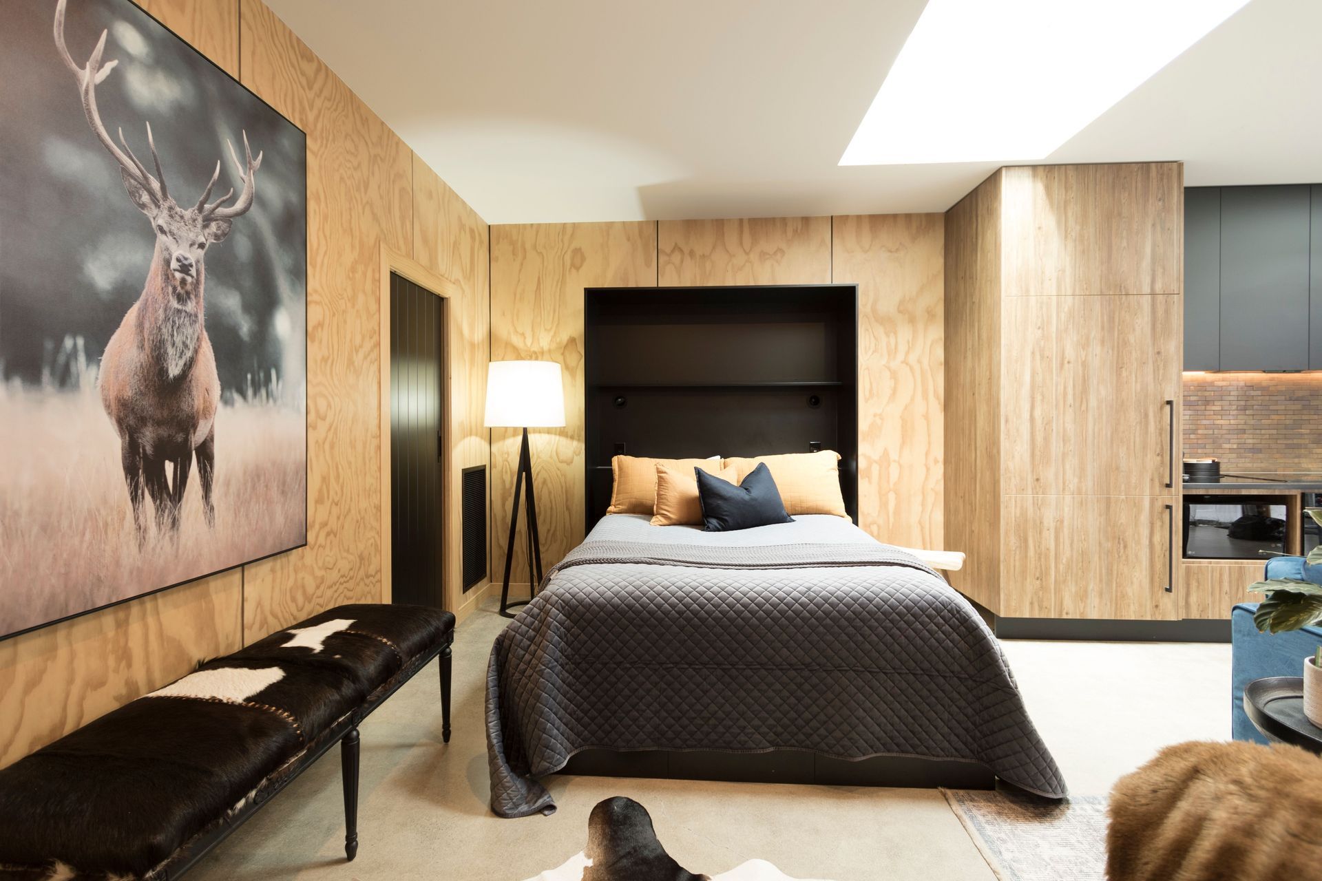 Norwich - Dryden New Timber