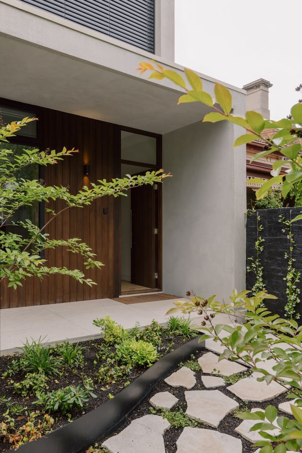 A contemporary residential entry courtyard viewed from outside. The facade combines smooth light rendered walls with a deep covered porch, a tall dark timber-clad front door, and dark-framed glazing. A landscaped garden bed with low green planting, black edging, dark mulch, and irregular pale stepping stones leads toward the entrance. Mature leafy branches partially frame the image, while a neighboring traditional facade is visible beyond the boundary wall.