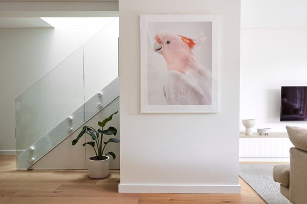 Bright contemporary interior showing a timber-floored hallway and stair area. A frameless glass balustrade leads upward beside a white wall with framed artwork and a potted plant. The adjacent living room is partially visible, with a television, low white media cabinetry, sofa, and rug.