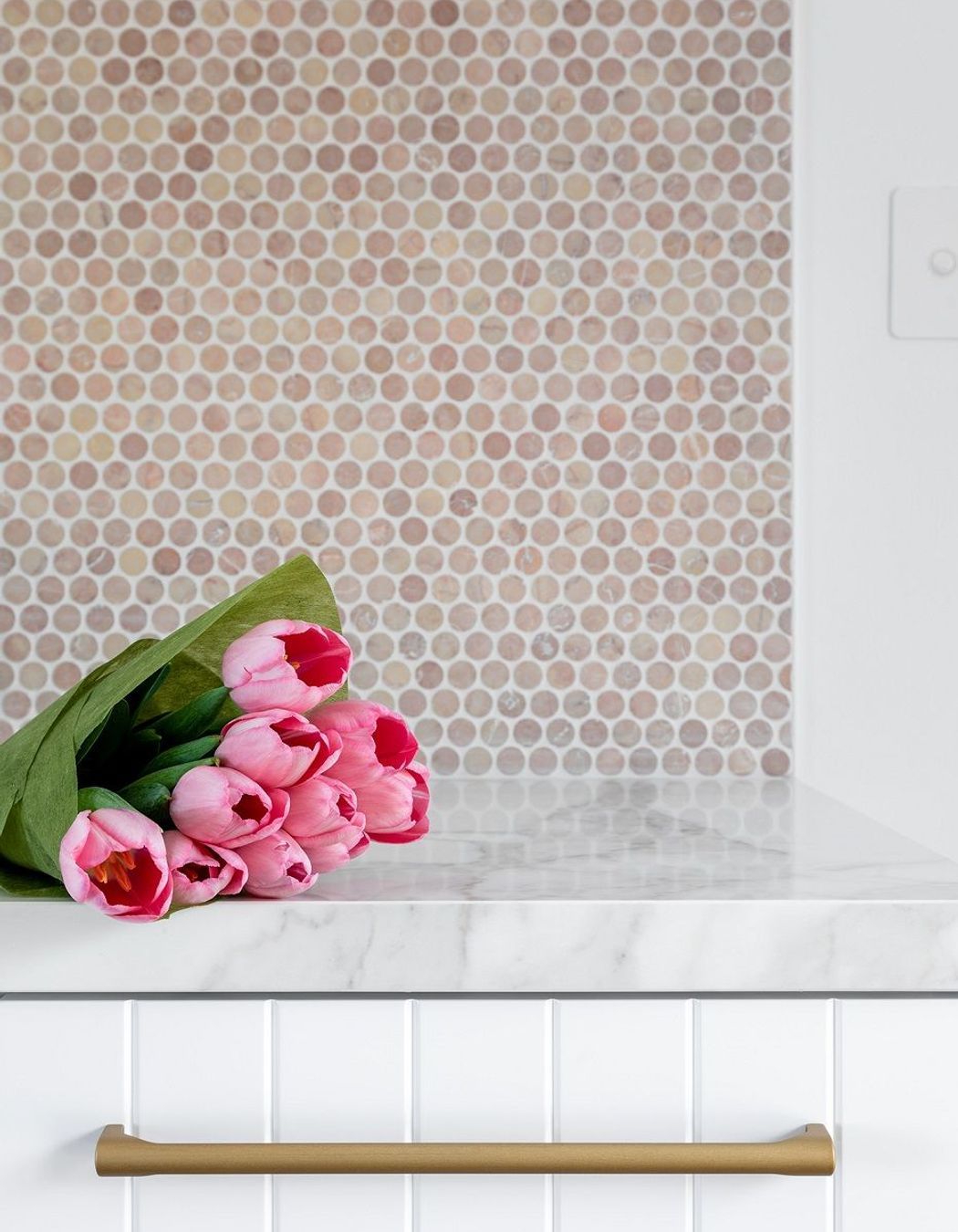 Sholl Project - Laundry