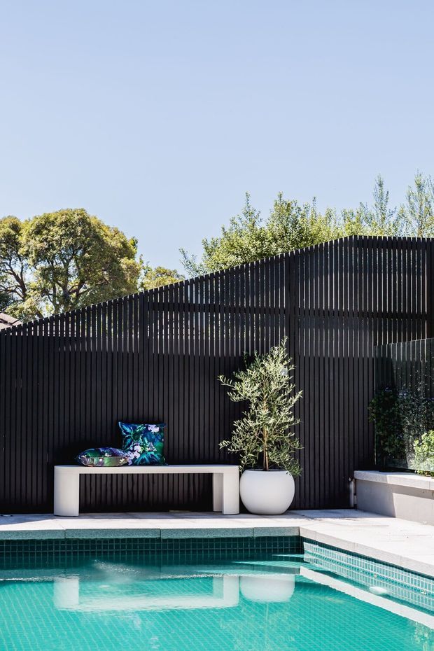 A bright outdoor pool area with turquoise tiled water, a raised pale concrete pool edge, and a minimalist white bench against a tall black vertical-slat privacy fence. A potted olive tree, colourful cushions, and dense greenery add contrast, with clear blue sky and mature trees visible above the fence.
