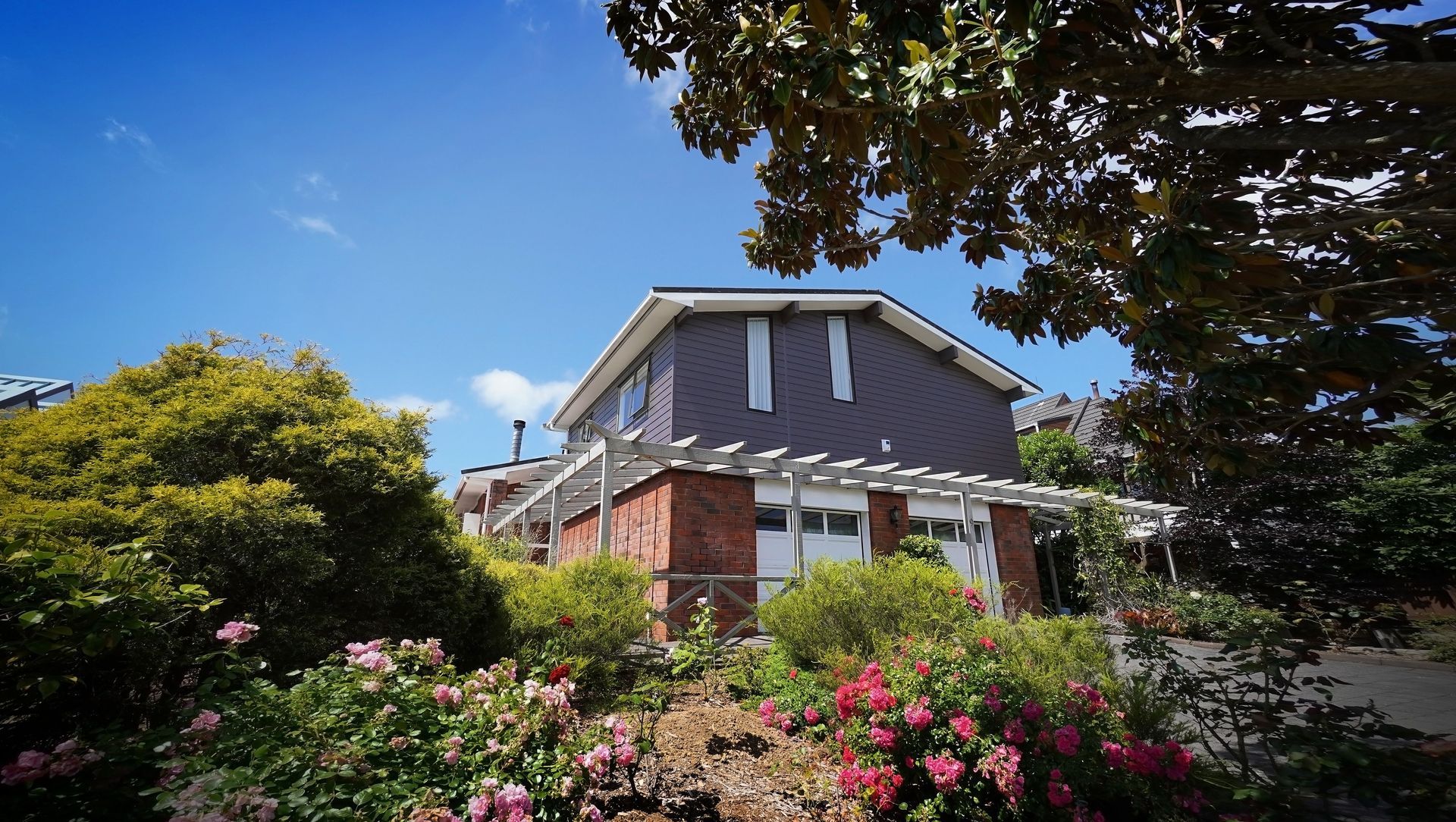 Full Home Renovation of a Dated Home banner