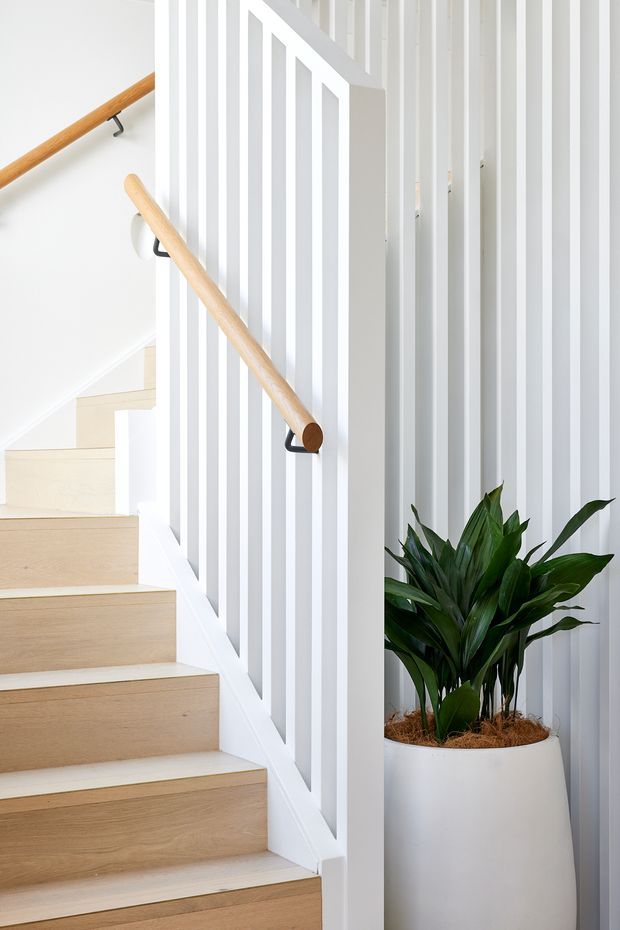 Bright, narrow stairway with pale timber treads and simple timber handrails mounted to white walls. A white vertical-slat balustrade creates a strong architectural screen, while a large leafy plant in a white planter adds a natural accent.