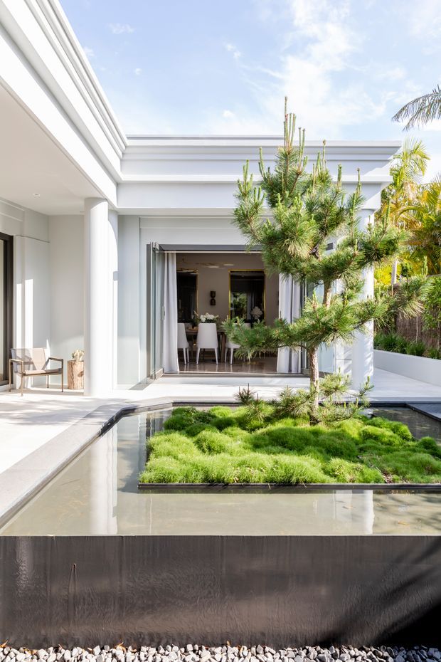 A bright contemporary courtyard viewed from an outdoor terrace, featuring a shallow reflecting pool surrounding a raised planted island with a sculptural pine tree. The white rendered building has strong horizontal cornice lines, square columns, large glazed openings, and an open dining area beyond. Tropical planting and pale paving reinforce the light, resort-like atmosphere.