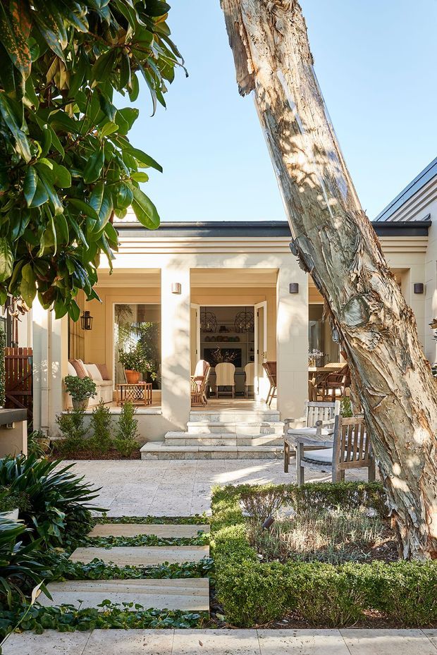 A sunlit courtyard garden viewed toward a single-storey residence. Pale rendered walls frame large open doorways and a covered outdoor living or dining area, with broad steps leading through layered planting. A mature eucalyptus tree dominates the foreground, accompanied by clipped hedges, groundcovers, paved paths and timber outdoor furniture. The composition has a warm, relaxed Australian garden character.
