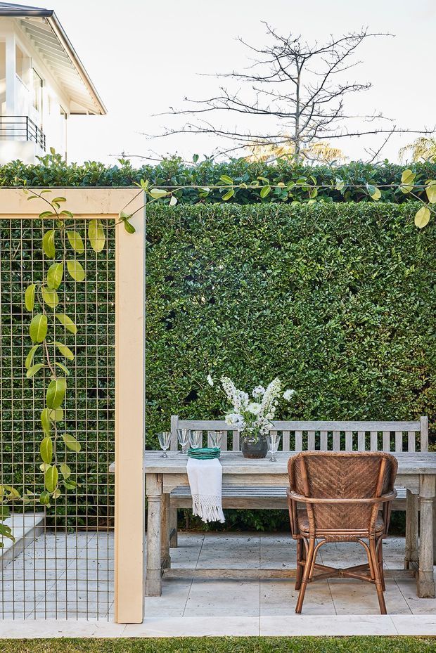 A bright outdoor courtyard or terrace with a pale tiled floor, dense clipped green hedge, and a timber dining table with bench seating and a woven rattan chair. A cream-painted trellis screen with climbing vine stands at left, while part of a light-coloured house with a balcony and pitched roof is visible behind it. The setting has a relaxed, natural garden dining atmosphere.