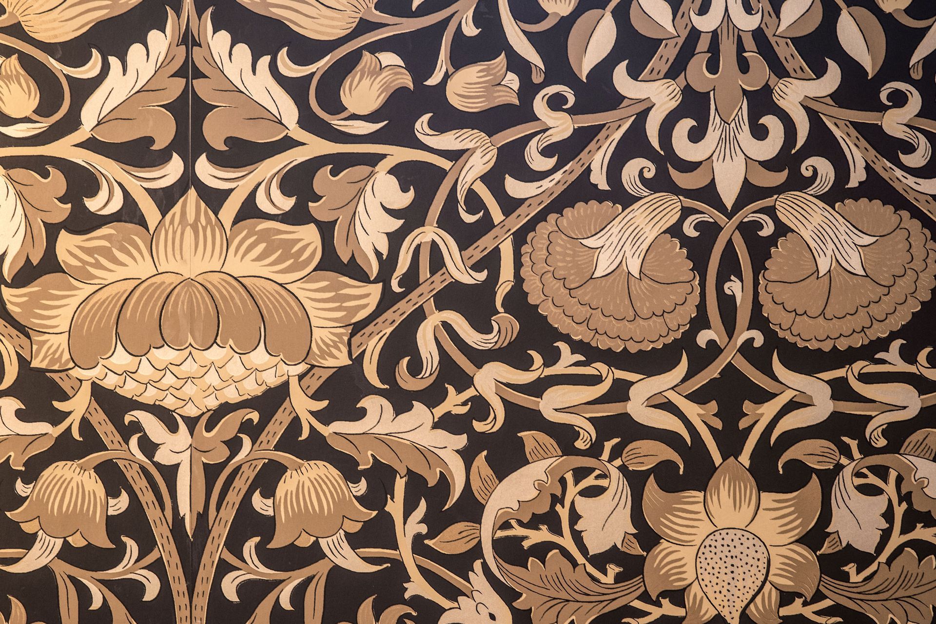 shapley-pattern-wallpaper-powder.jpg