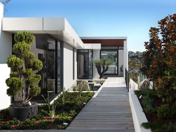 A contemporary flat-roofed residence viewed from an elevated outdoor walkway. The composition features crisp white and charcoal facade planes, extensive floor-to-ceiling glazing, a timber-like pedestrian deck, integrated raised garden beds, sculpted topiary, and a broad rooftop or terrace setting overlooking a wooded landscape.