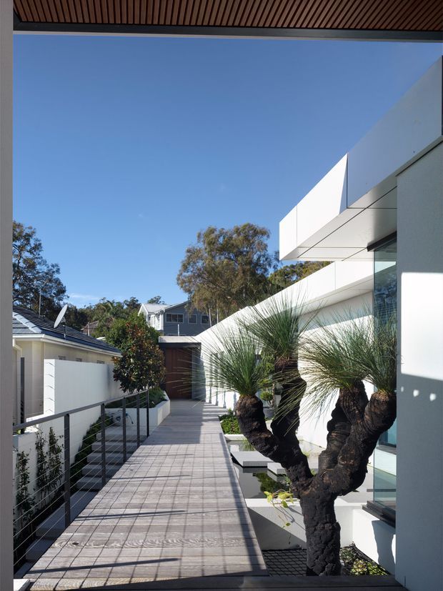 A bright contemporary residential exterior showing a narrow timber-decked walkway beside a crisp white modern building. The facade features projecting geometric volumes, large glazing, slender dark railings, and a covered slatted ceiling overhead. Sculptural grass trees line the path, with neighbouring homes and mature trees visible beyond.