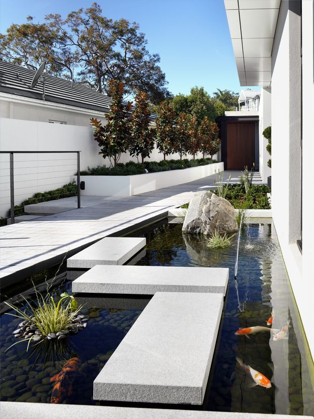 A bright, contemporary residential courtyard with a reflective koi pond, large pale stepping slabs, planted garden beds, a feature boulder and a linear walkway leading to a dark timber entrance door. White rendered walls, crisp geometric paving, manicured planting and a tiled roof visible beyond create a refined minimalist landscape setting.