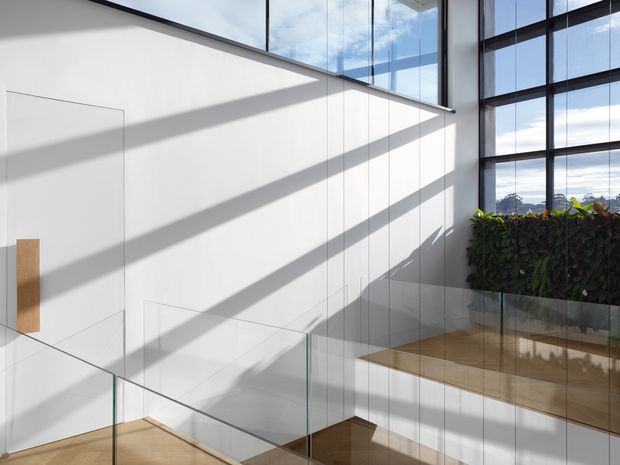 A bright, minimalist interior stairway or landing with a white paneled wall, light timber stair treads, and frameless glass balustrades. Floor-to-ceiling black-framed glazing brings in strong daylight and views, while a raised planter with trailing greenery adds a natural element. Long diagonal shadows create a graphic architectural effect.