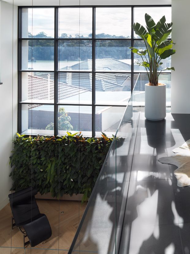 Bright contemporary interior view of a mezzanine or upper-level landing overlooking a lower space. A large black-framed grid window provides extensive glazing and views of neighbouring rooftops, while a glass balustrade, glossy dark floor, indoor planter, and vertical green wall define the space. Black lounge chairs sit below near a timber floor.