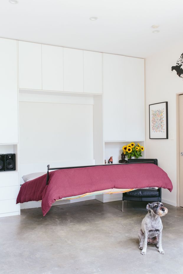 Bright, compact bedroom with a wall of white built-in cabinetry and a concealed fold-down bed dressed in a deep pink textured cover. The room has polished concrete flooring, recessed ceiling lights, a black leather chair, framed artwork, and a small dog in the foreground.