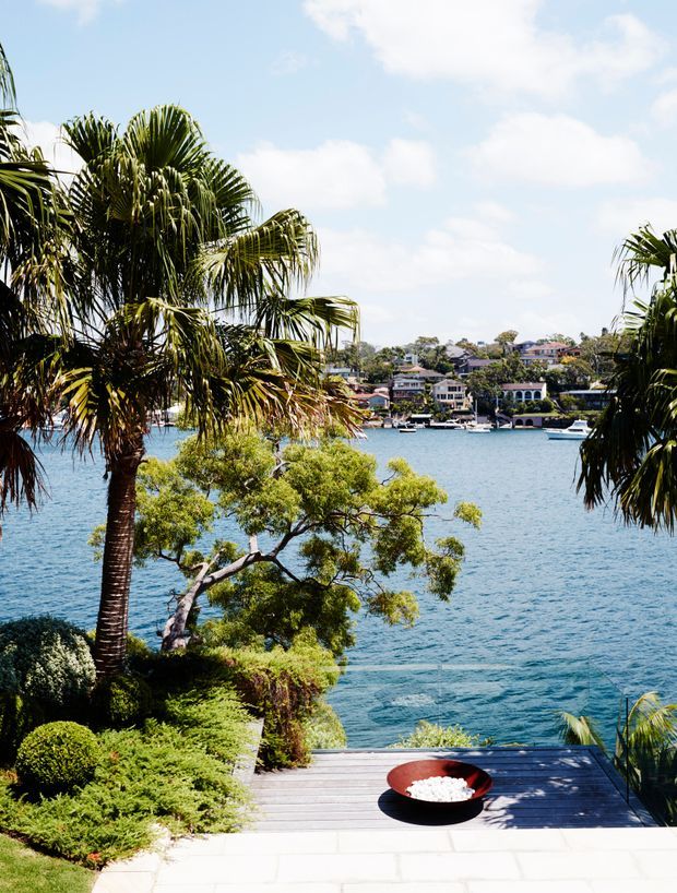 A sunny waterfront landscaped terrace overlooking blue water and a residential shoreline. The foreground features palm trees, manicured shrubs, a paved stone area, and a timber deck with a low black bowl. The scene has a tropical coastal garden character and expansive water views.