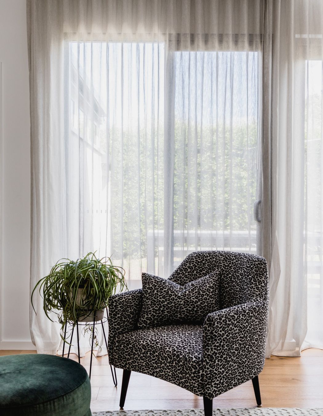 Colourful Sophistication