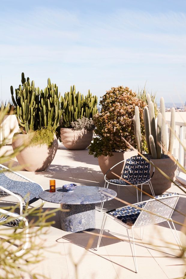 A bright, sunlit rooftop or elevated terrace furnished with a small round stone coffee table and woven sling chairs. Large potted cacti and other drought-tolerant plants create a lush desert-inspired setting, with a pale tiled or concrete floor and a light-coloured railing overlooking a hazy distant view. The space has a relaxed, stylish outdoor-lounge atmosphere.