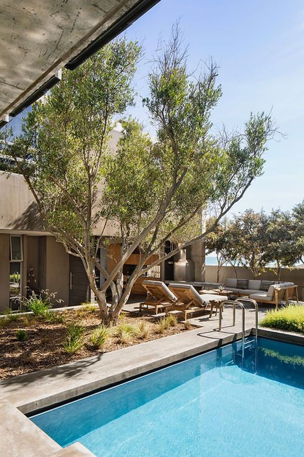 Olive Tree Villa