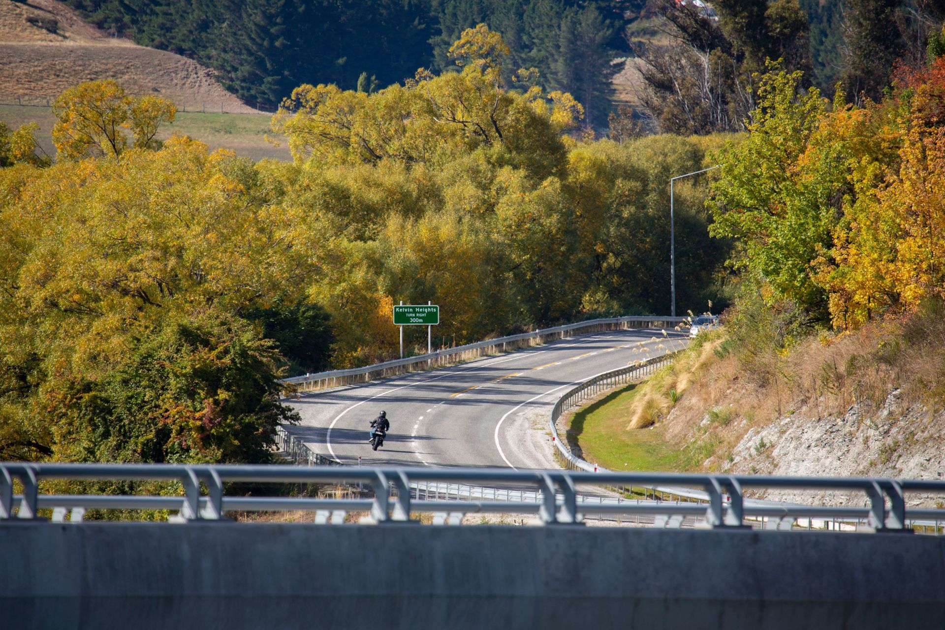 Kawarau Falls Bridge