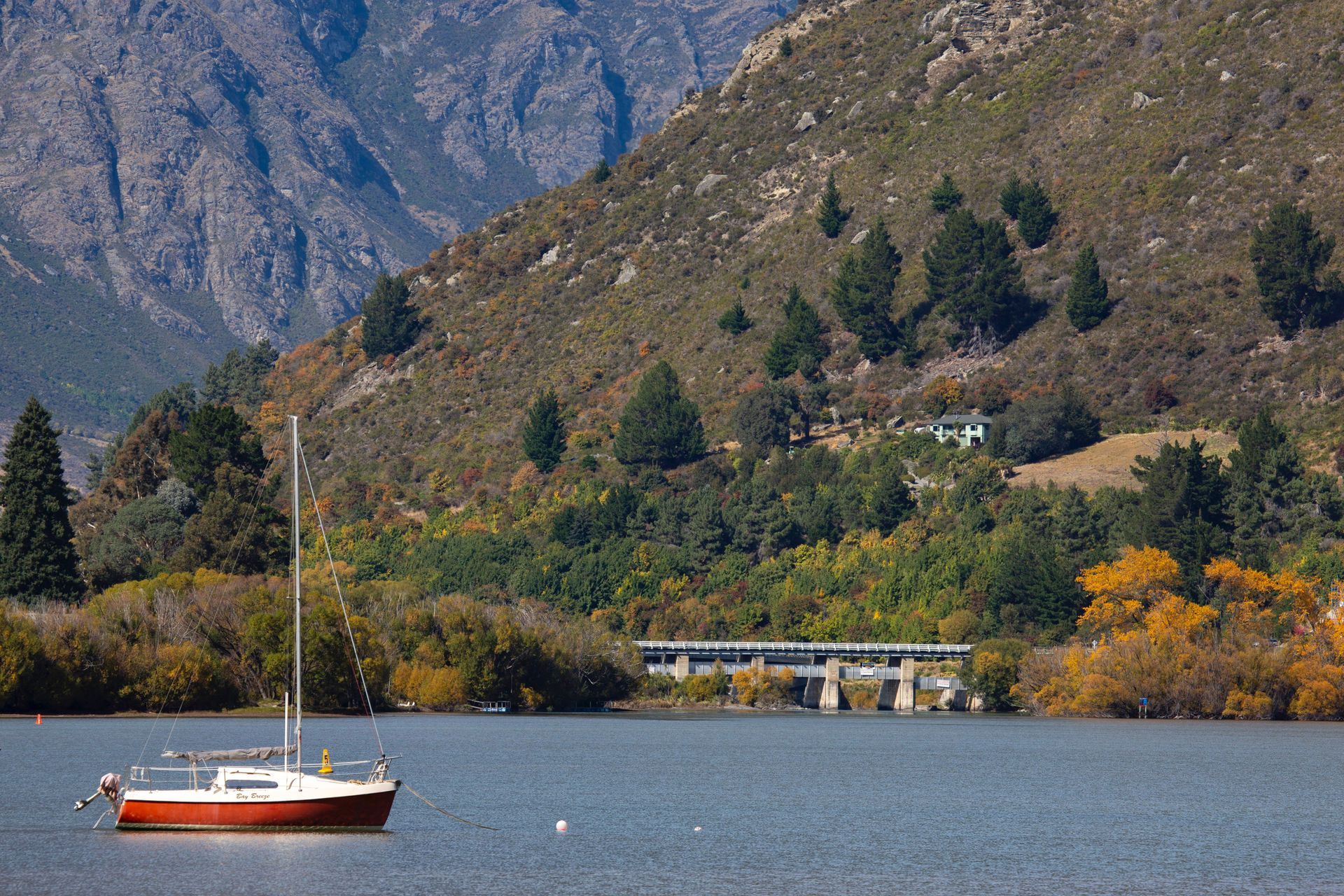 Kawarau Falls Bridge