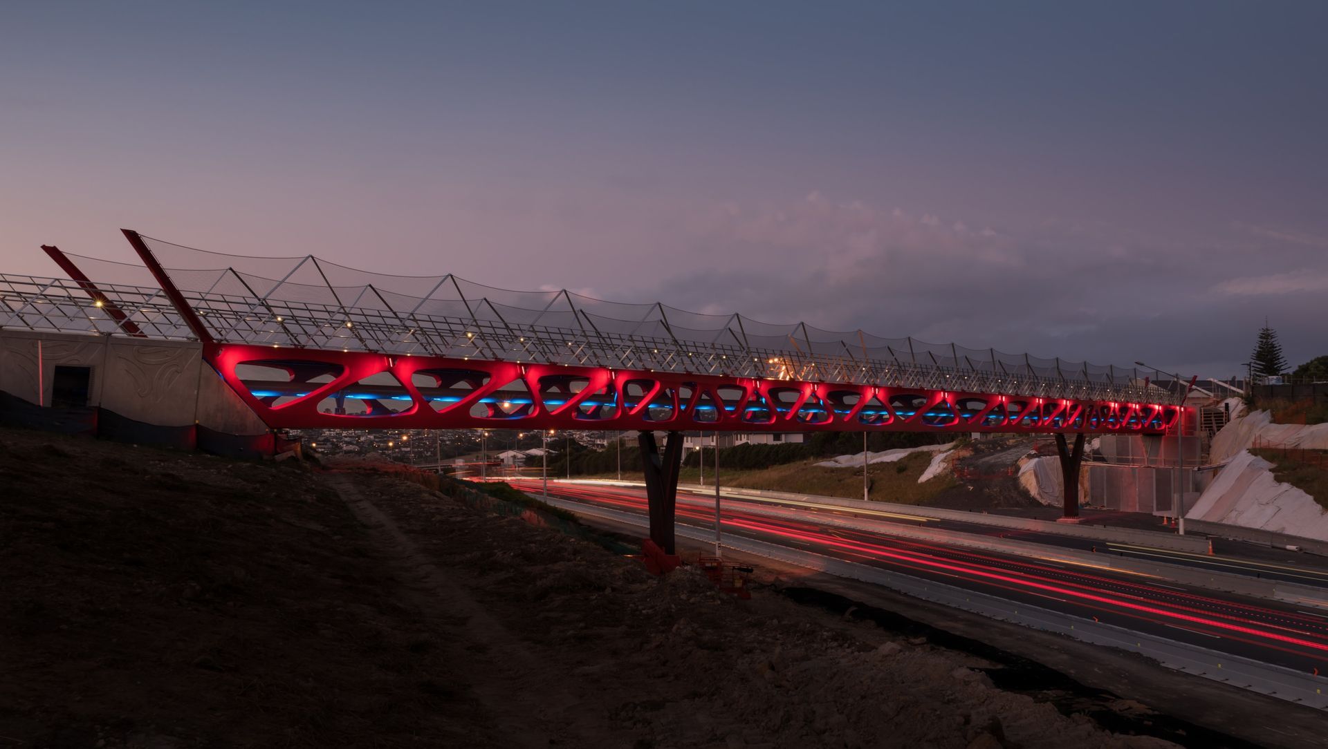 Tirohanga Whānui Bridge - anti-throw and fall protection mesh screens banner