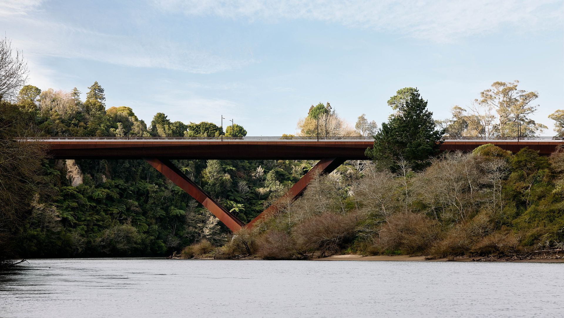 Te Ara Pekapeka banner