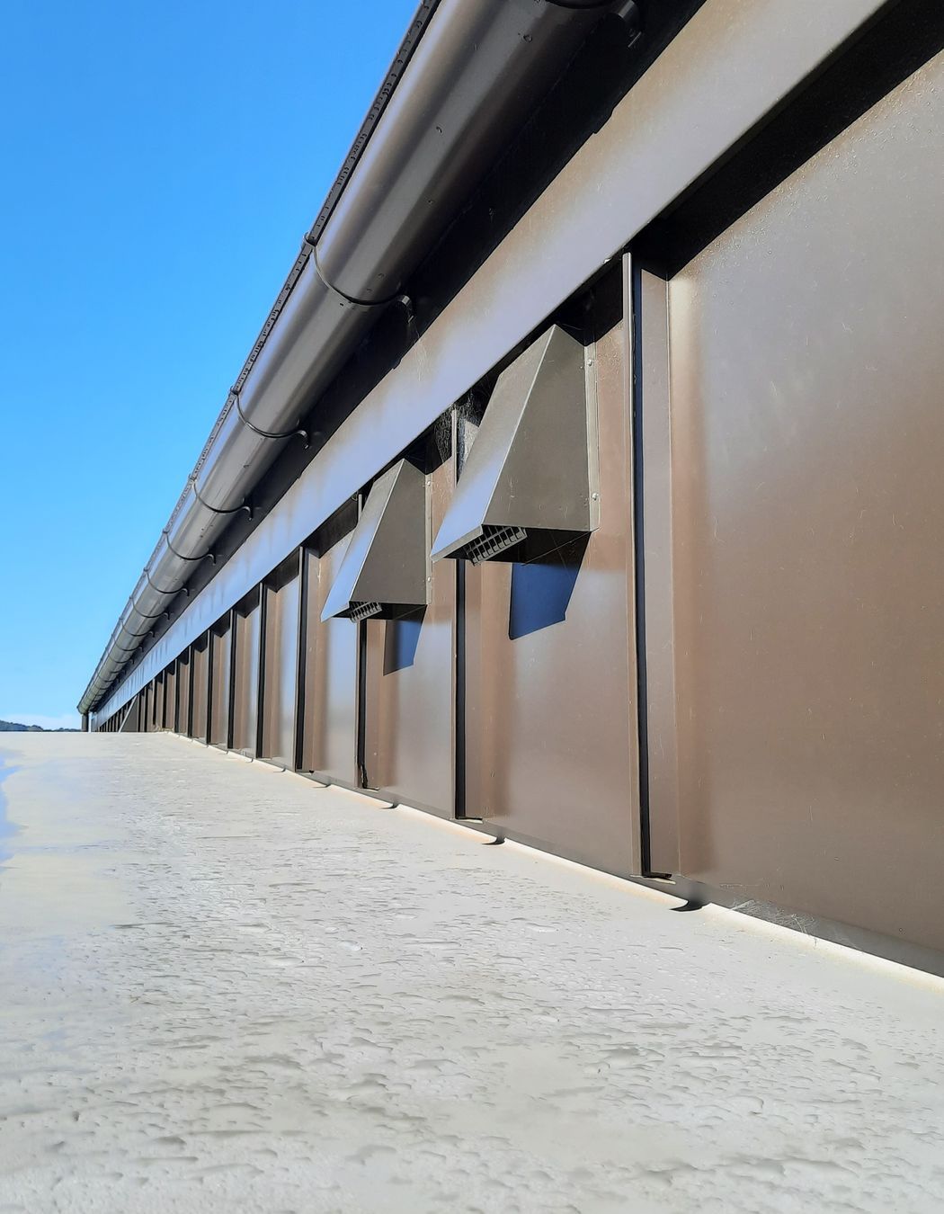 Looking at the detail of wall and flat roof area