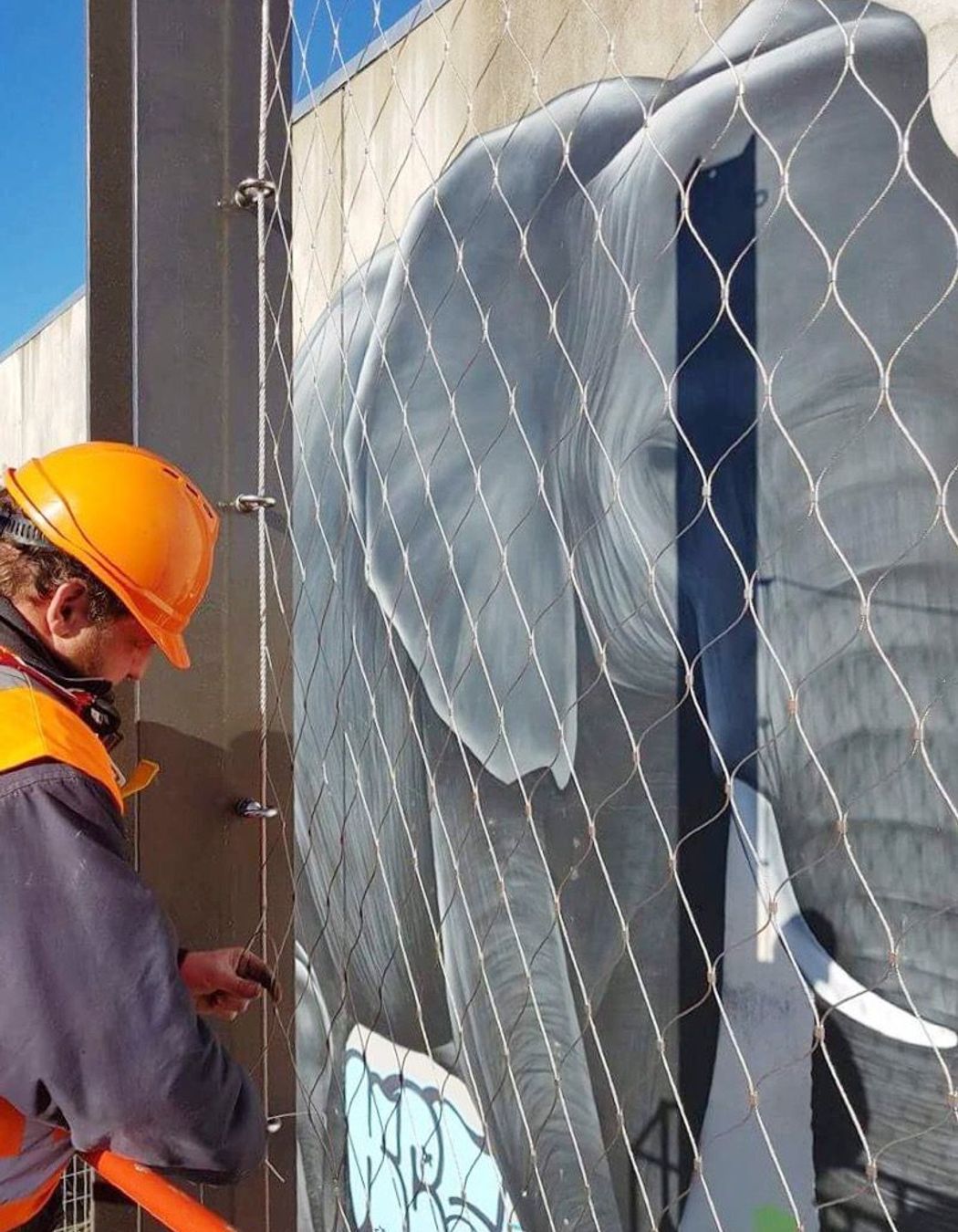 South Frame laneway catenary lighting and mesh-infilled walls - Christchurch CBD

