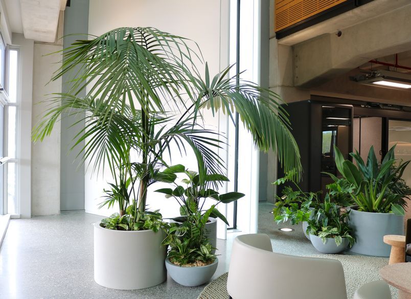 BHIVE+ - Long term hire project