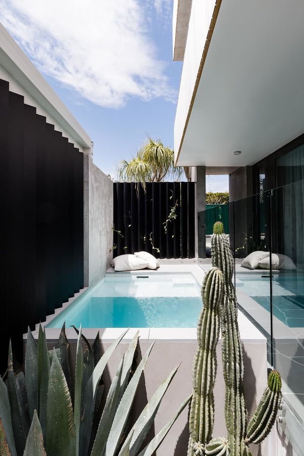 A bright modern courtyard with a compact turquoise plunge pool, raised pale tiled spa ledge, sculptural cacti and agave planting, black vertical privacy screens, raw concrete walls, and extensive floor-to-ceiling glass. A covered outdoor passage and reflected glazing frame the pool, creating a minimalist indoor–outdoor composition.