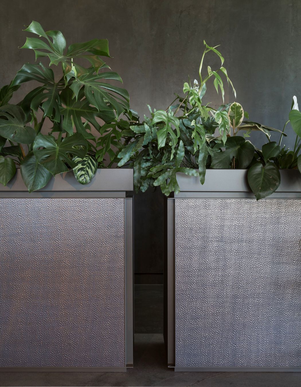 Cable Bay Vineyard, Waiheke Island