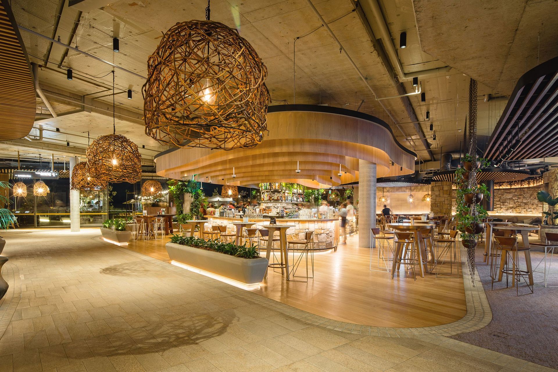 Harbord Diggers Club