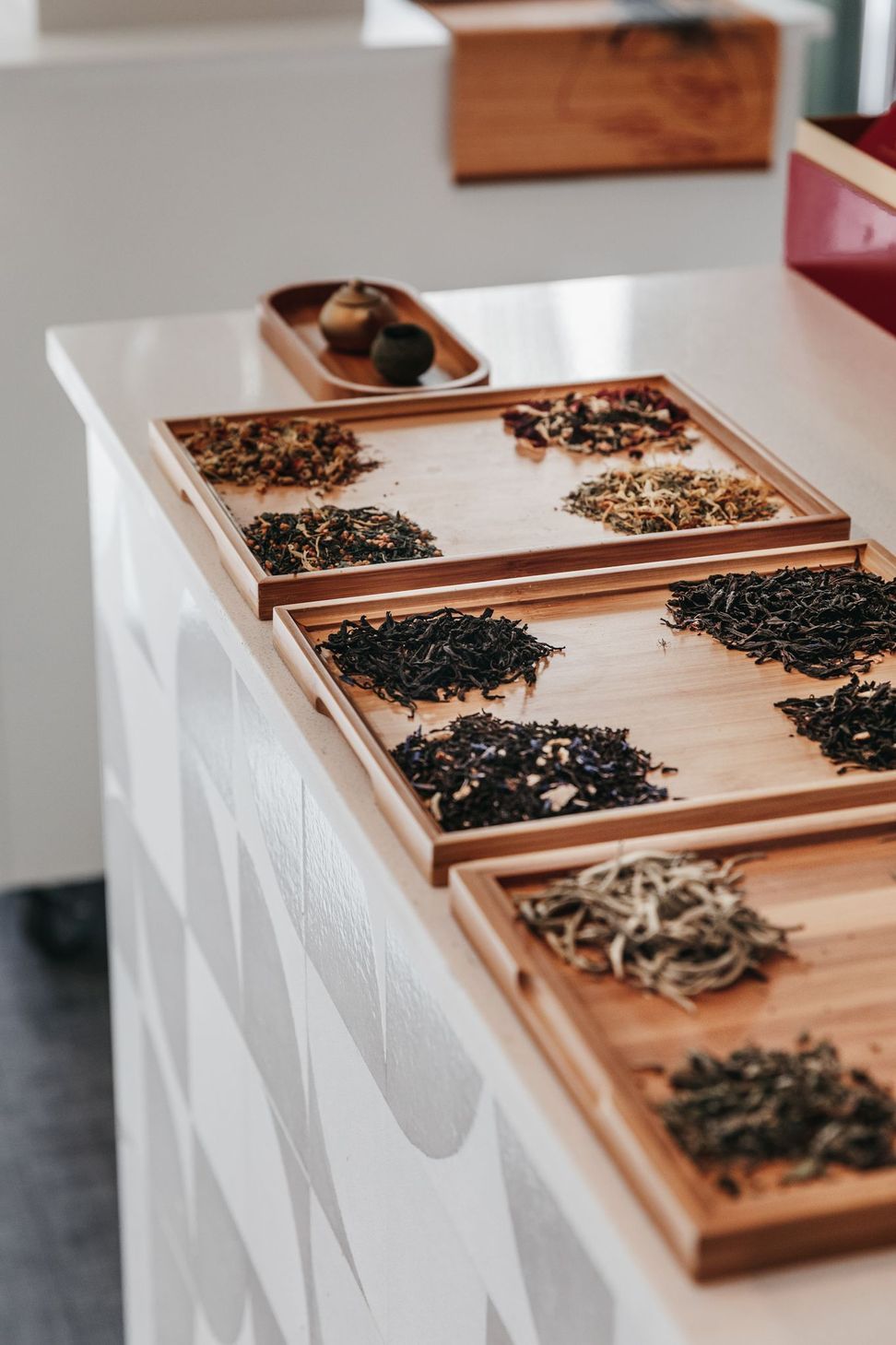 Tea Connoisseur