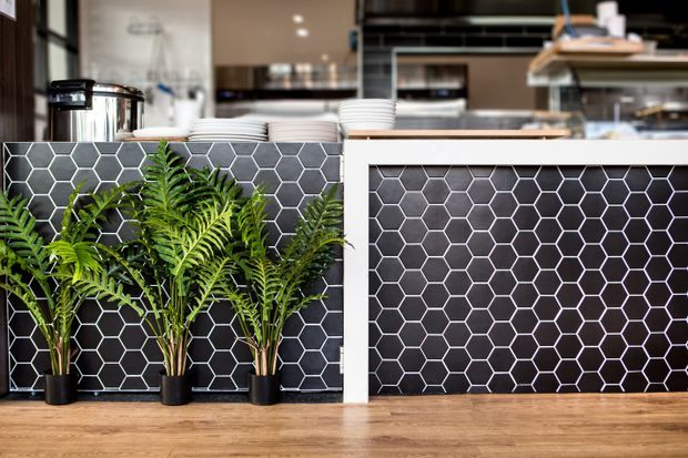 A contemporary café or restaurant counter with dark hexagonal tiled cladding and white grout, timber flooring, white countertop surfaces, stacked crockery, and potted ferns arranged in front. Stainless-steel kitchen equipment and shelving are visible behind the counter.
