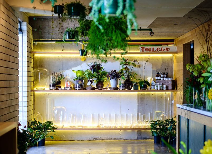 Food & Hospitality- The Botanist