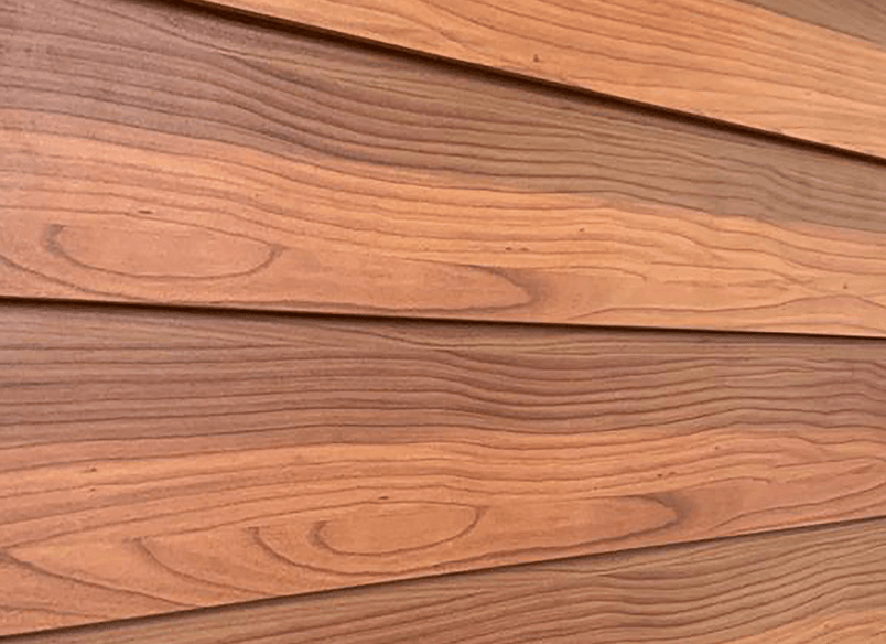 Fast Food Restaurant, New Plymouth