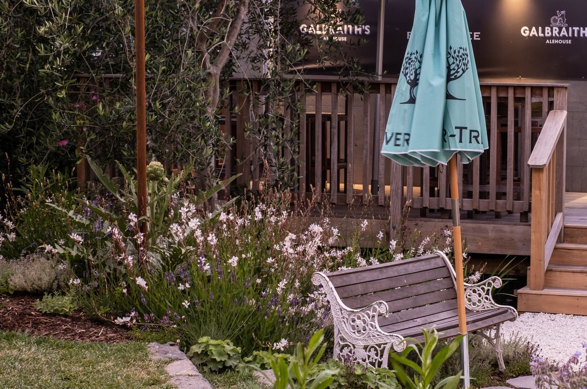 Galbraith's Alehouse - Eden Terrace