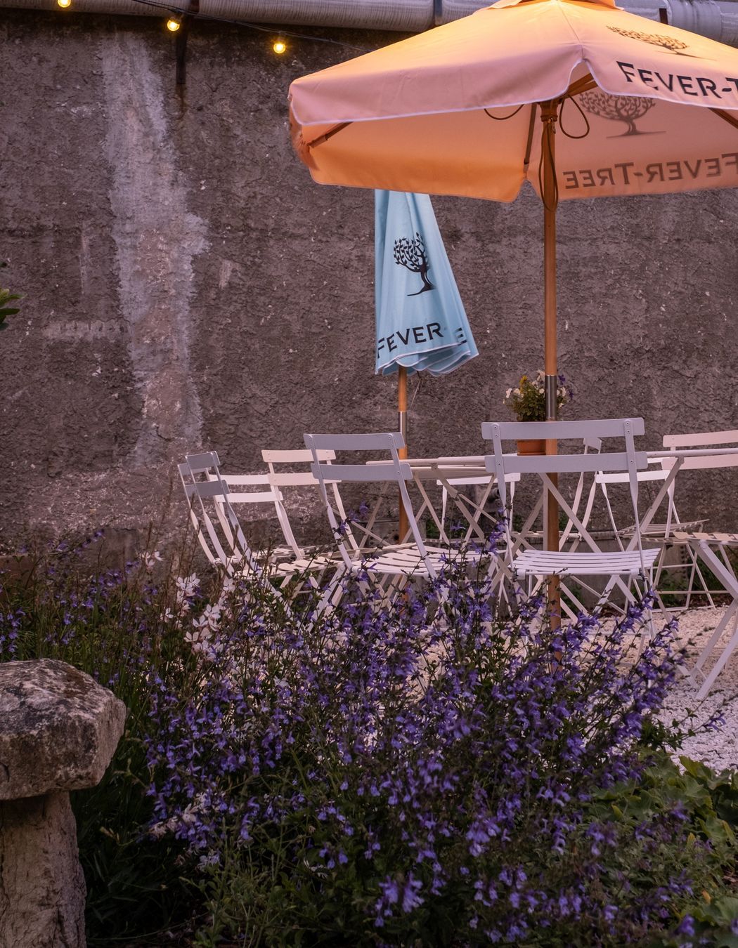 Galbraith's Alehouse - Eden Terrace