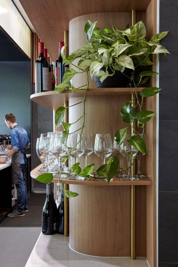 A close-up interior view of a refined restaurant or hospitality space, centered on a curved timber display and bar shelving unit. The built-in joinery has warm wood veneer, rounded edges, brass-toned vertical supports, and a pale stone countertop. Wine bottles and numerous wine glasses are arranged on the shelves, with a trailing potted plant adding greenery. A staff member and part of the service area are visible in the background. The overall look is polished, warm, and contemporary.