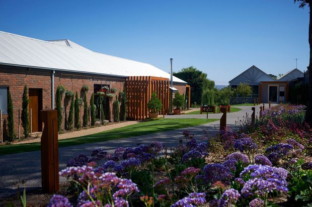 A landscaped architectural exterior in bright daylight, showing a long single-storey red-brick building with a pale pitched metal roof, timber doors, vertical timber screening, and climbing or columnar planting. A paved driveway or walkway leads toward additional pitched-roof buildings, with dense purple flowering garden beds and timber posts in the foreground. The setting appears low-density and possibly semi-rural, though no specific location is verifiable.