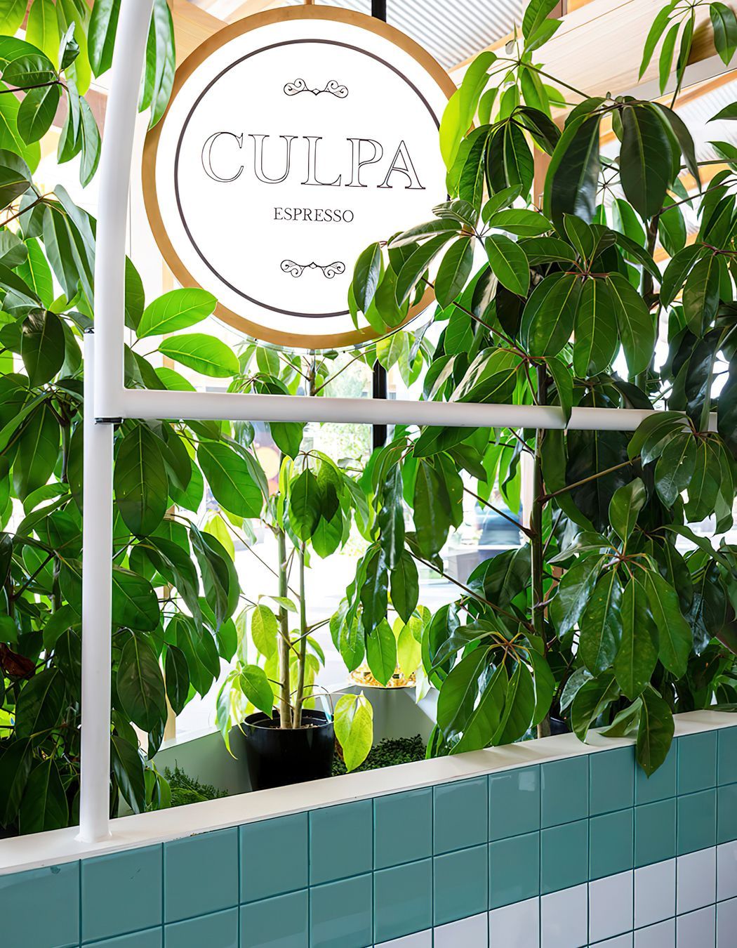 CULPA | WOODLEA TOWN