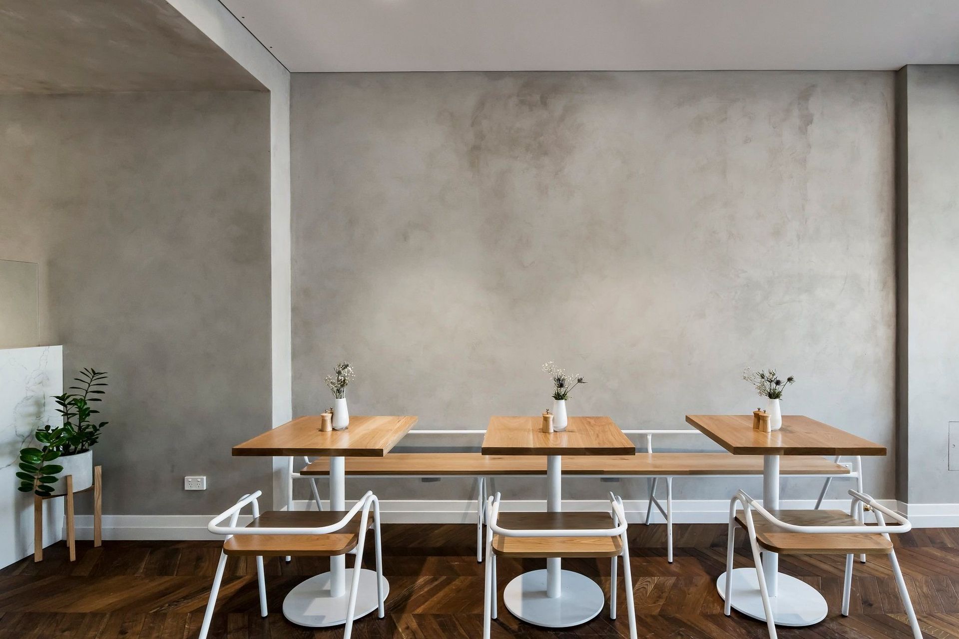 Son of a Baker, Sans Souci