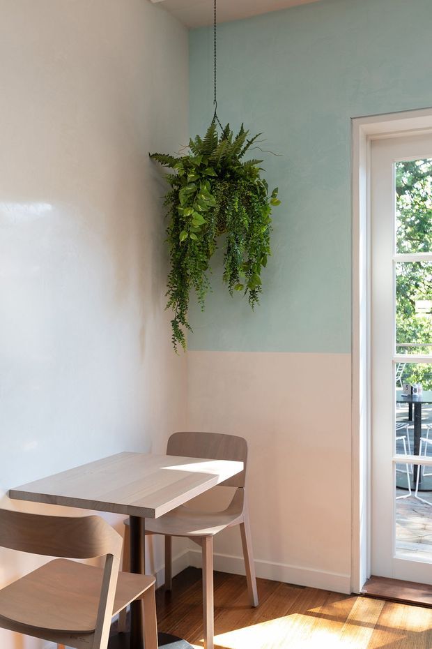 A bright, compact dining nook with a light timber table and matching wooden chairs positioned beside a glazed exterior door. The walls feature a two-tone finish with pale aqua above and soft blush pink below, while a hanging fern adds greenery. Warm sunlight falls across the timber floor and furniture, creating a fresh, cheerful atmosphere.