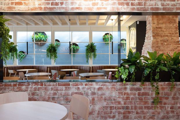 A bright contemporary hospitality or commercial dining interior viewed through a large interior opening. Exposed whitewashed brick walls frame a communal dining area with round tables, pale chairs, built-in brown banquette seating, and extensive indoor planting. Large industrial-style glazed windows with black mullions and hanging plants overlook a bright exterior, while exposed painted ceiling beams and a black structural beam add architectural character.